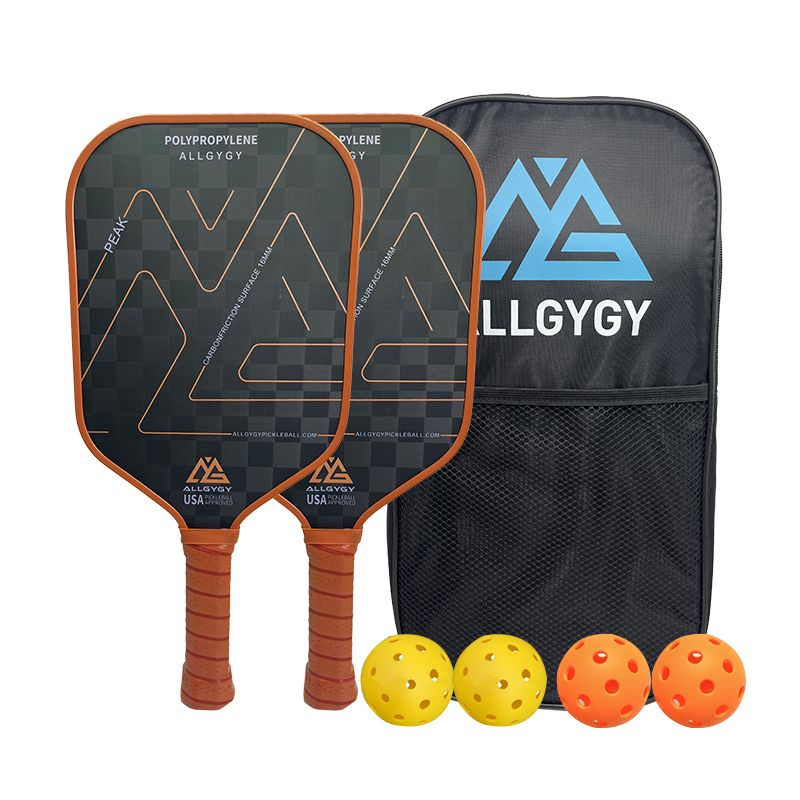 Set Dayung Pickleball Serat Karbon 18K