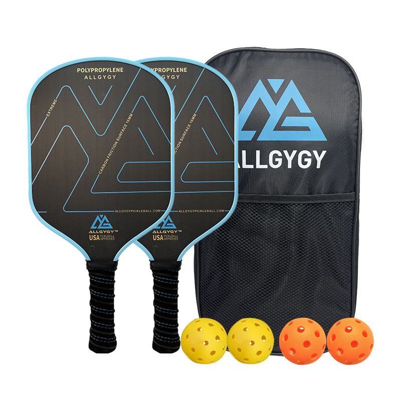 Set Dayung Pickleball Serat Karbon T700